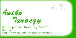 aniko turoczy business card